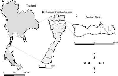 The Spread of Rabies Among Dogs in Pranburi District, Thailand: A Metapopulation Modeling Approach